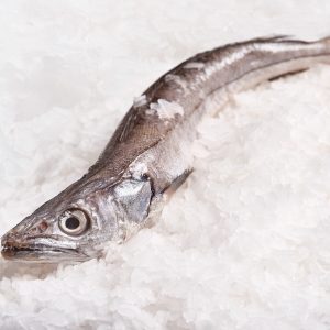 merluza